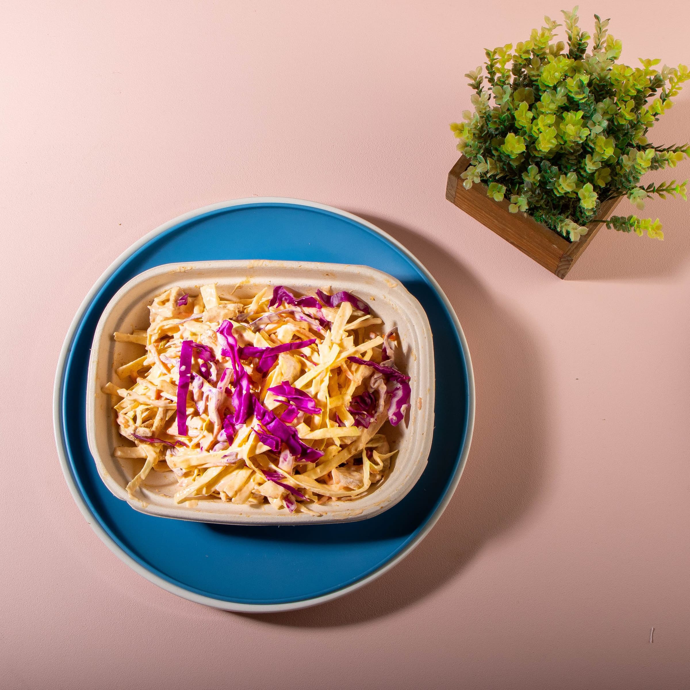 Yum Yum Chicken Slaw