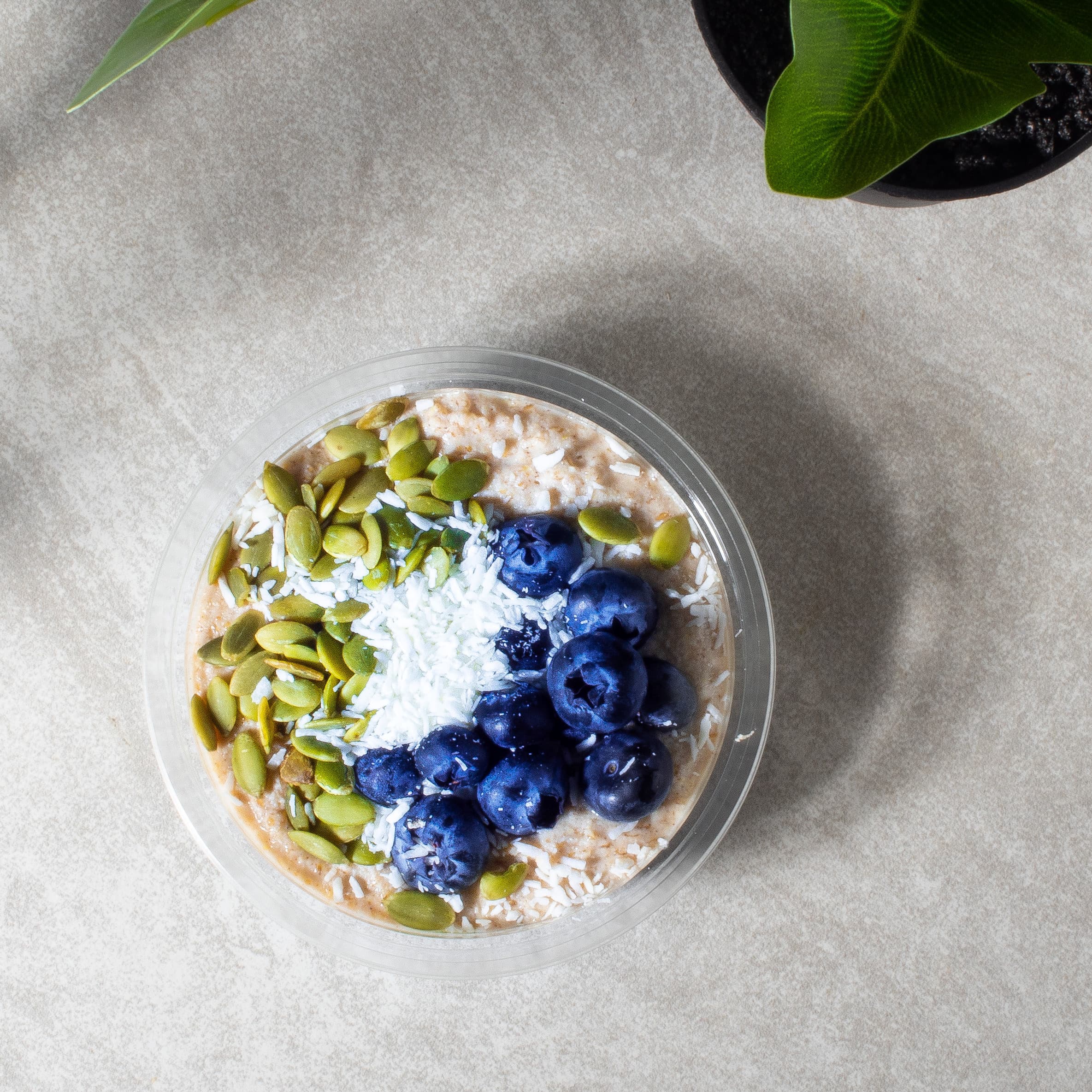 Blueberry Coconut Flour Porridge